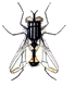 07.gif