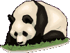 17.gif