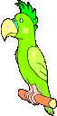 22.gif
