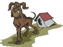 53.gif