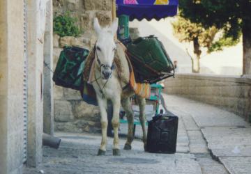 Cestovatel - klikni  > dal�� Fotka