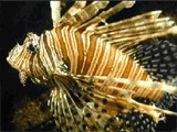 0247_lbG3e.jpg